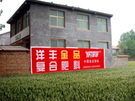 荆门如何让墙体广告展现最大化效果